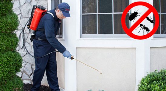 Haymana Gümüşkurt İlaçlama böcek ilaçlama ve haşere kontrolü — ilaclama-tr.com